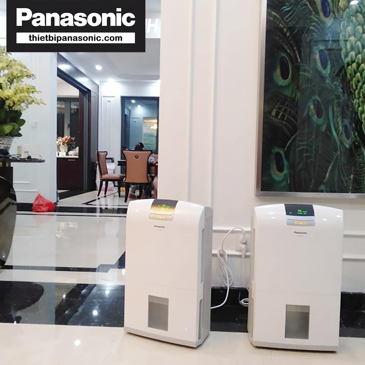 Hình ảnh thực tế của Máy hút ẩm Panasonic F-YCT17V
