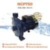 Ưu điểm nổi bật của máy bơm nước ly tâm 750W Nanoco NCP750