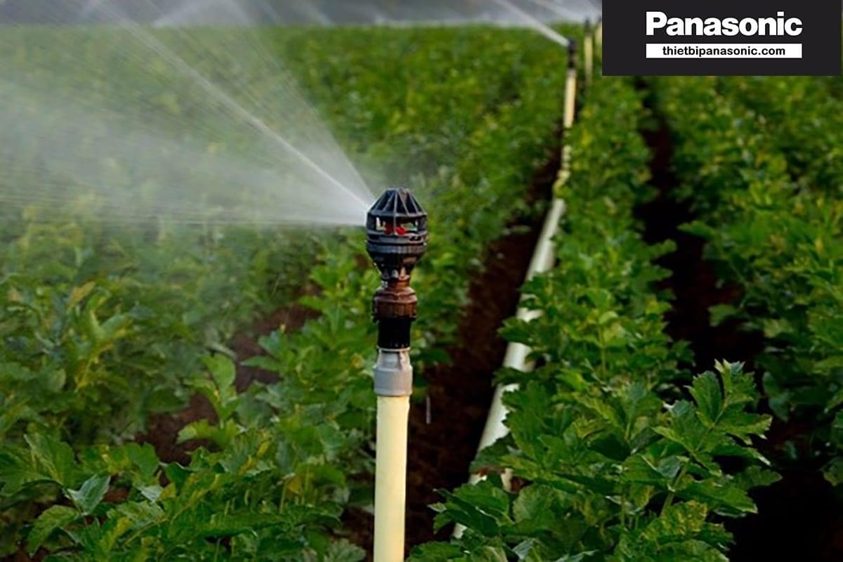 Máy bơm nước nông nghiệp