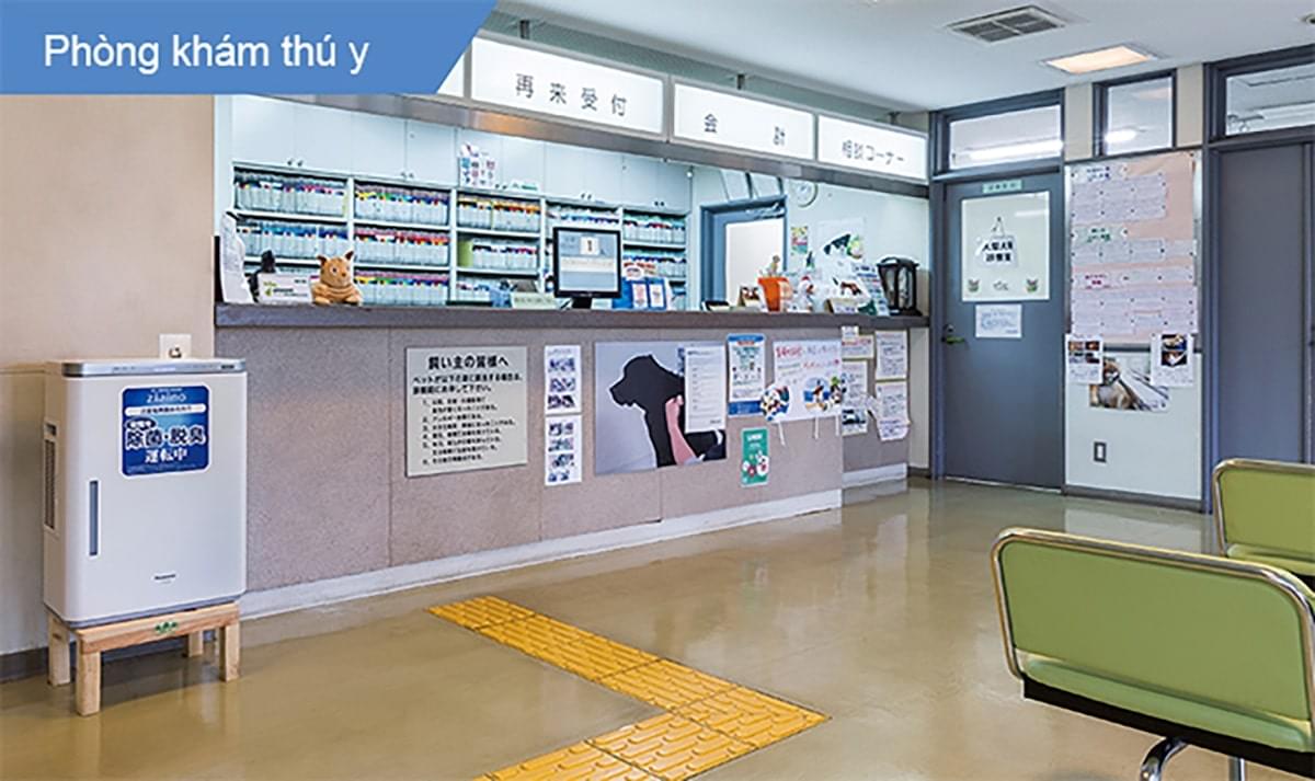 Ziaino-F-JPU70A-7 được ứng dụng trong phòng khám thú y