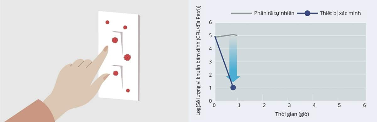 Ức chế vi khuẩn và vi-rút bám dính trên đồ đạc
